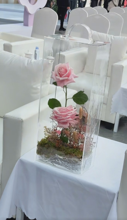 云南农科院向贺娇龙亲属赠送“娇龙月季”：未来它将在昭苏扎根开花