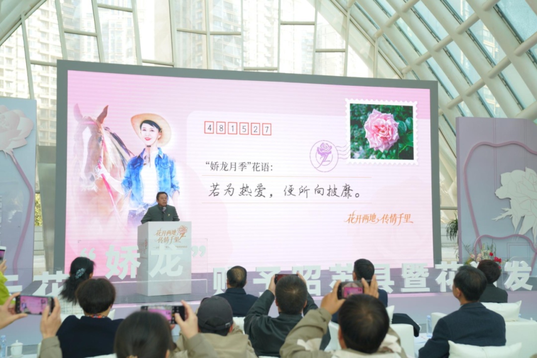 “若为热爱，便所向披靡” “娇龙”月季花语正式发布