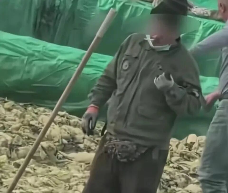 “男子在酸菜腌渍池中抽烟、吐痰”，处罚结果公布→