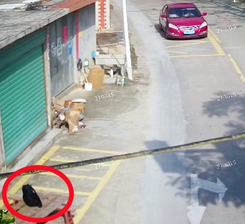 事发厦门同安,一男子背包遗失,报警并印制200份寻物启事,18小时后包找到了! 事发厦门同安,一男子背包遗失,报警并印制200份寻物启事,18小时后包找到了!