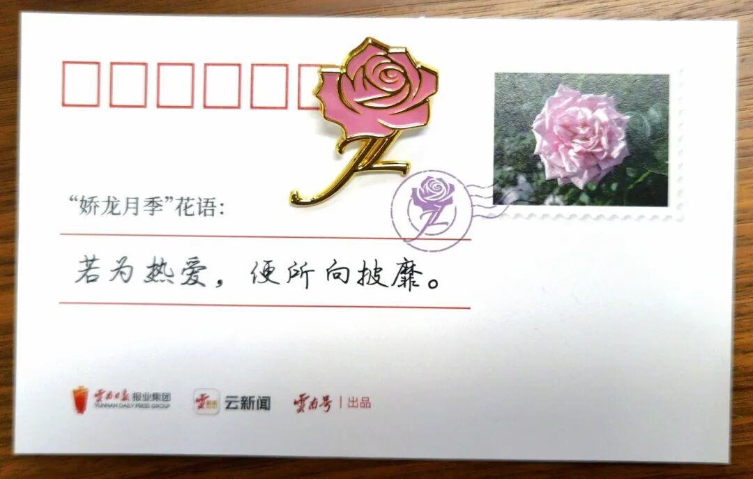 “若为热爱，便所向披靡” “娇龙”月季花语正式发布