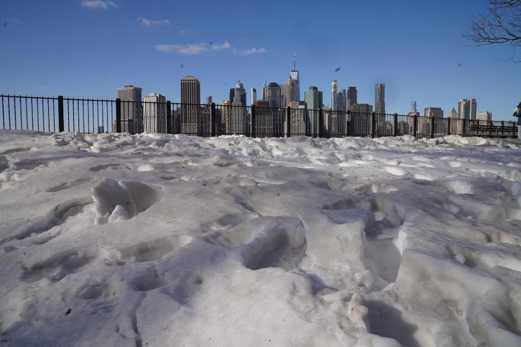 又一场冬季风暴袭击美国东南部 佛州再现“天降蜥蜴”奇观