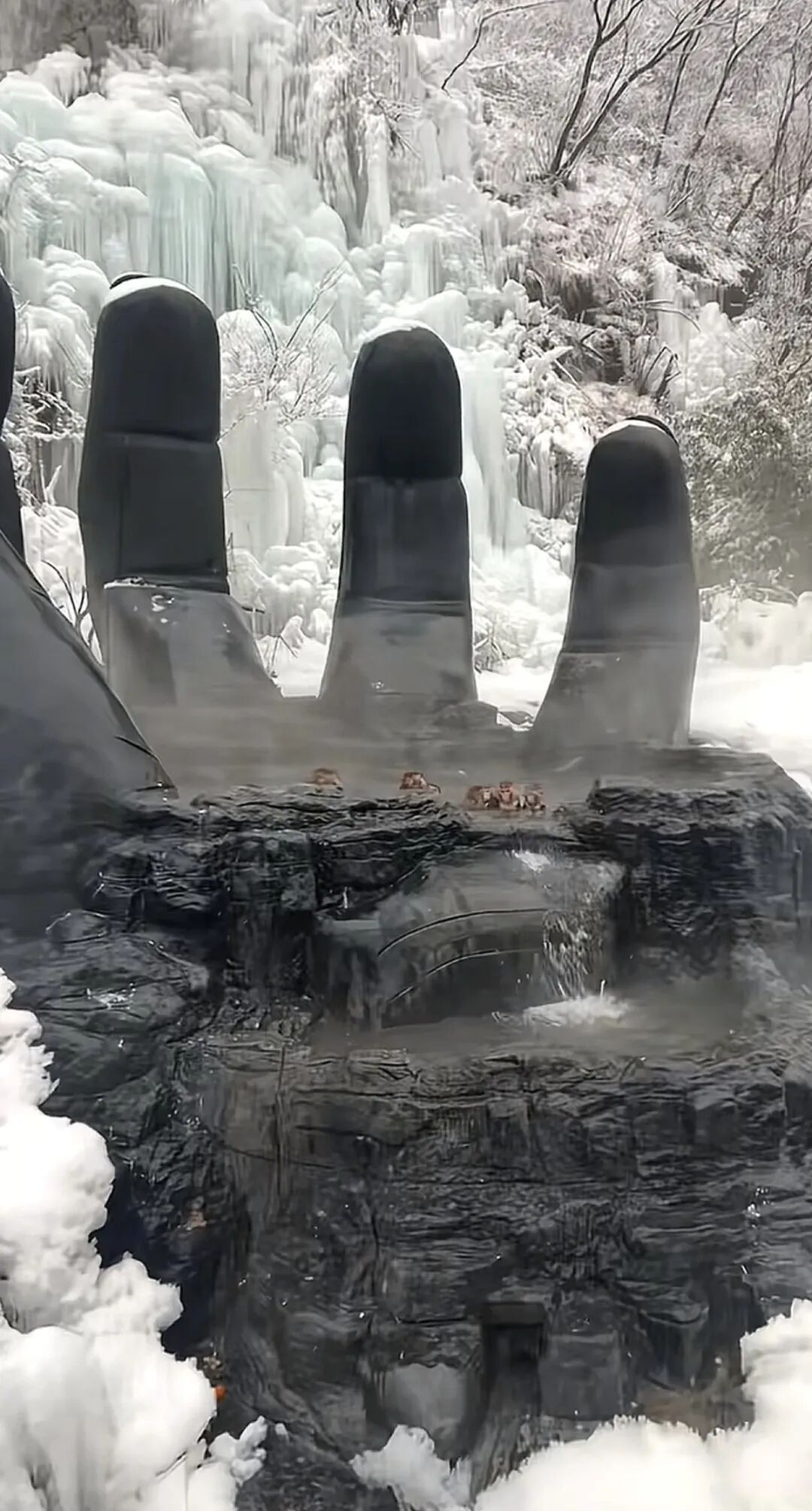 河南云台山景区猕猴泡温泉养生，游客偶遇感叹“进化得刚刚好”