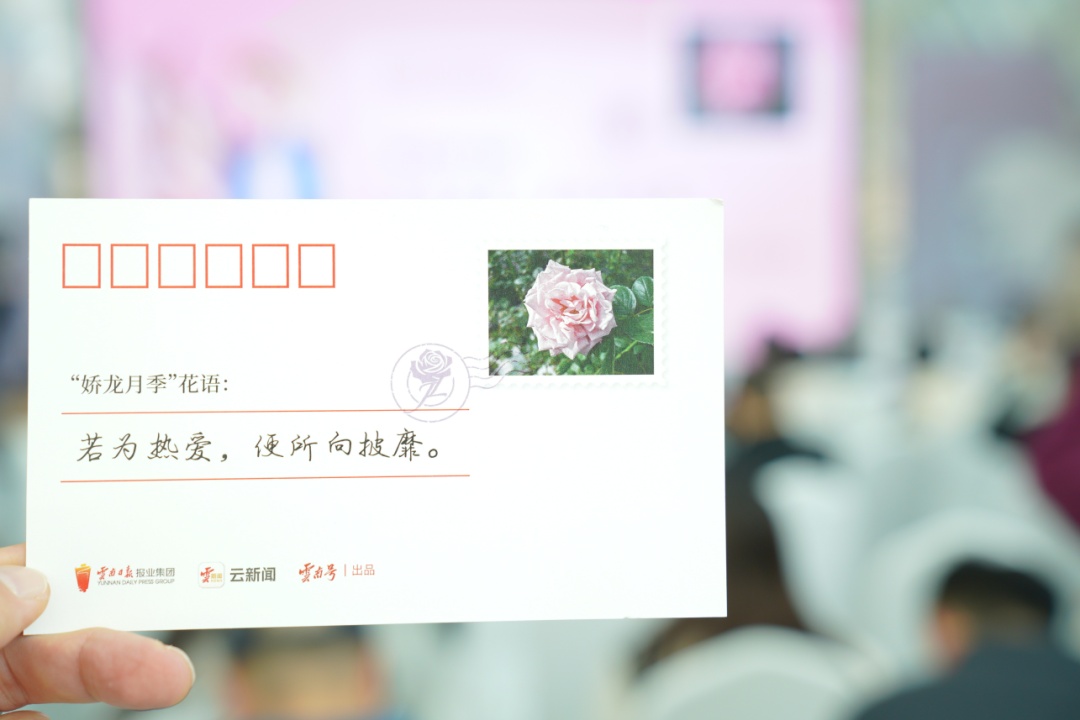 “若为热爱，便所向披靡” “娇龙”月季花语正式发布