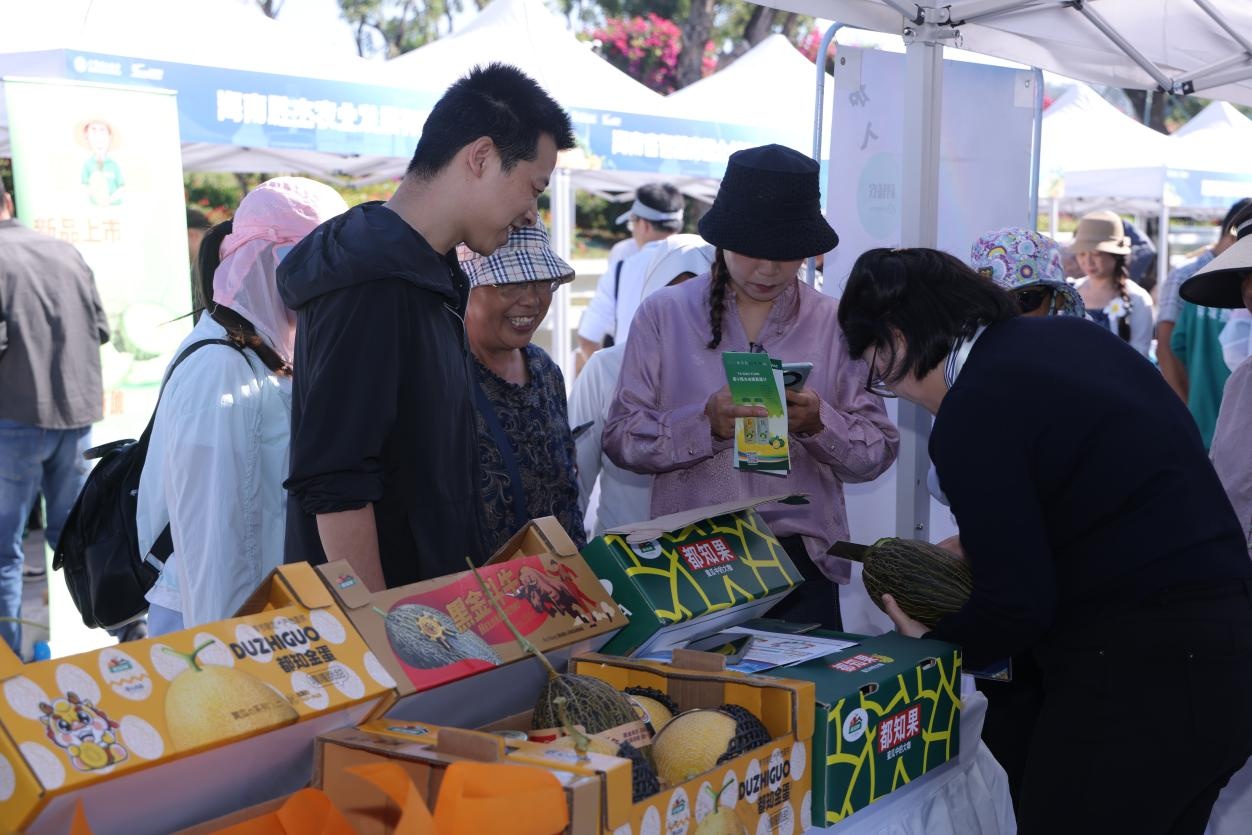 80余种西甜瓜优质品种集中亮相三亚 80余种西甜瓜优质品种集中亮相三亚