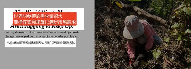 天塌了！你吃了这么多年的“香芋味”，居然都是假的？