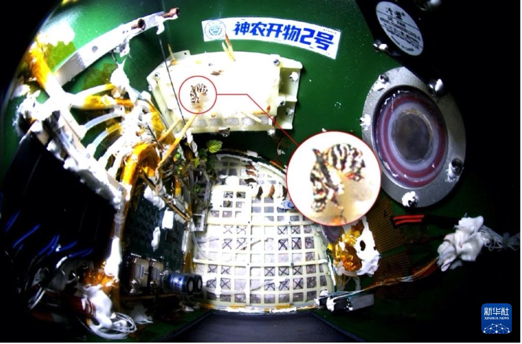 重庆大学“神农开物2号”在轨试验取得新进展