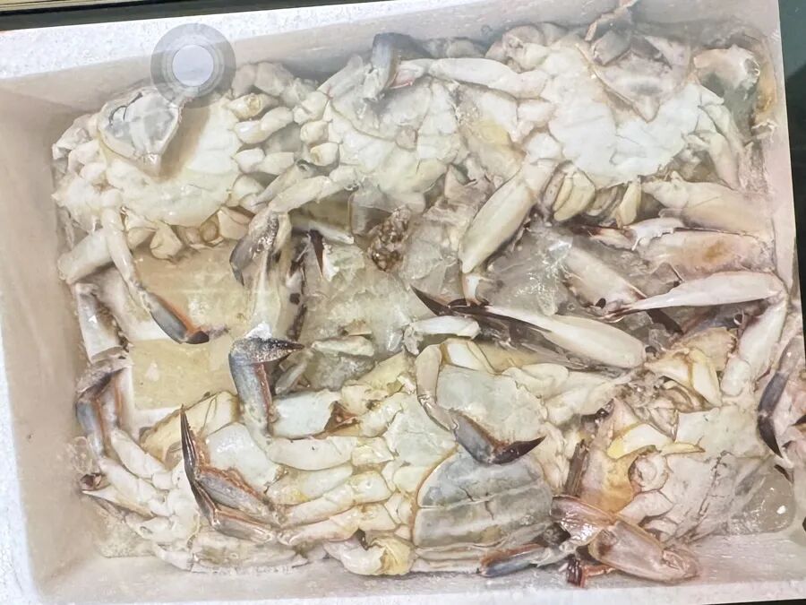 冒充盒马山姆卖臭鱼烂蟹！不少人已中招