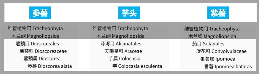 天塌了！你吃了这么多年的“香芋味”，居然都是假的？