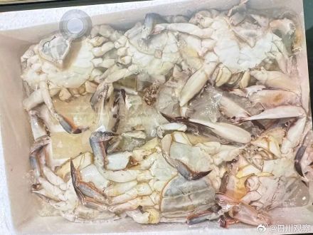 注意了！男子假冒山姆送货员卖臭海鲜