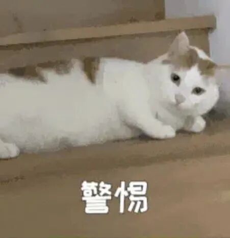 年前“大扫除”要警惕!6岁女孩、73岁老人均中招,医生紧急提醒 年前“大扫除”要警惕!6岁女孩、73岁老人均中招,医生紧急提醒