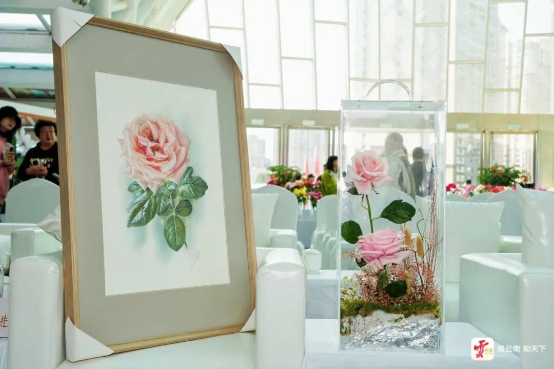 中国芯、中国风、中国造！120种云南自主培育新品种月季美丽绽放