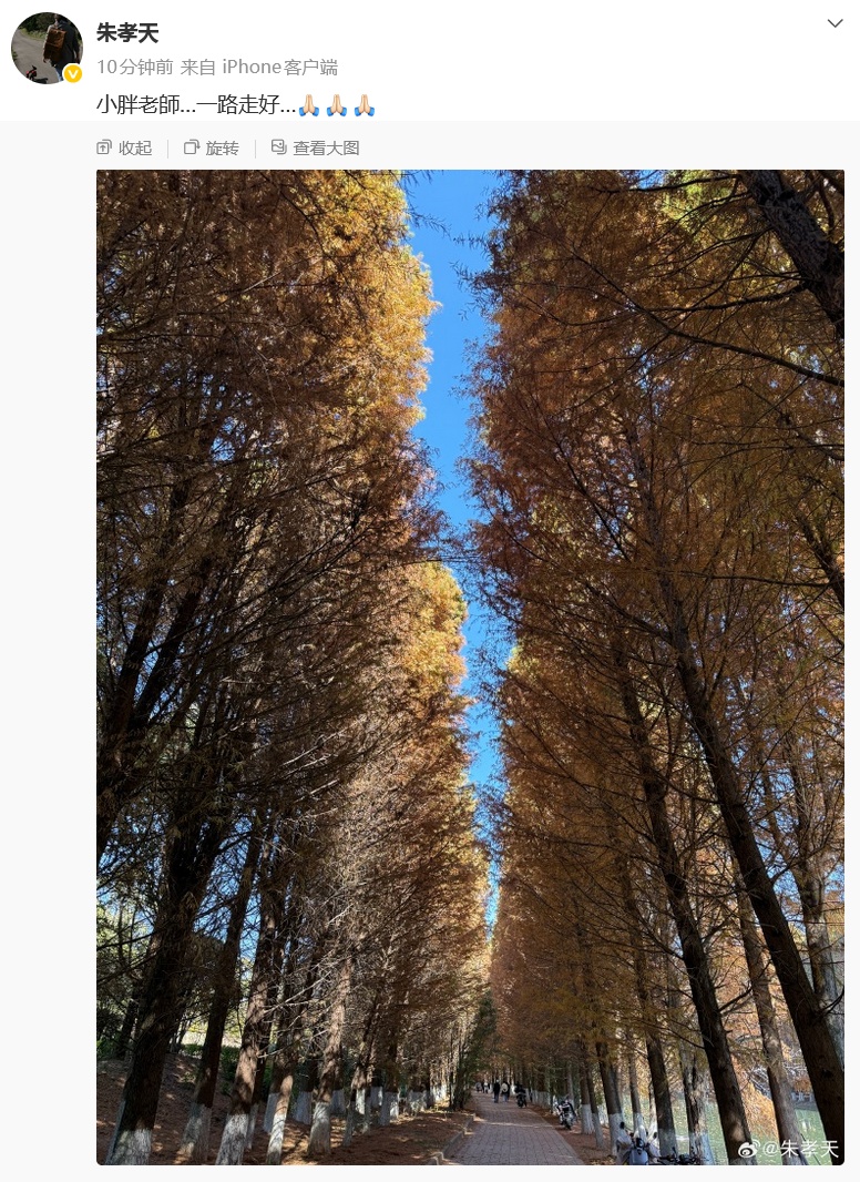 再不能“听袁惟仁弹吉他”！那英、薛之谦、张宇、游鸿明、朱孝天发文悼念……