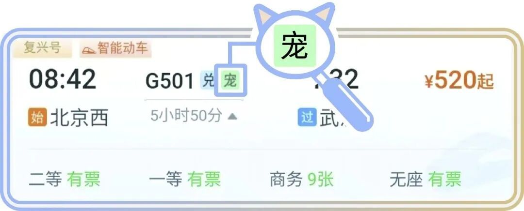 收藏！110个宠物托运车站全名单