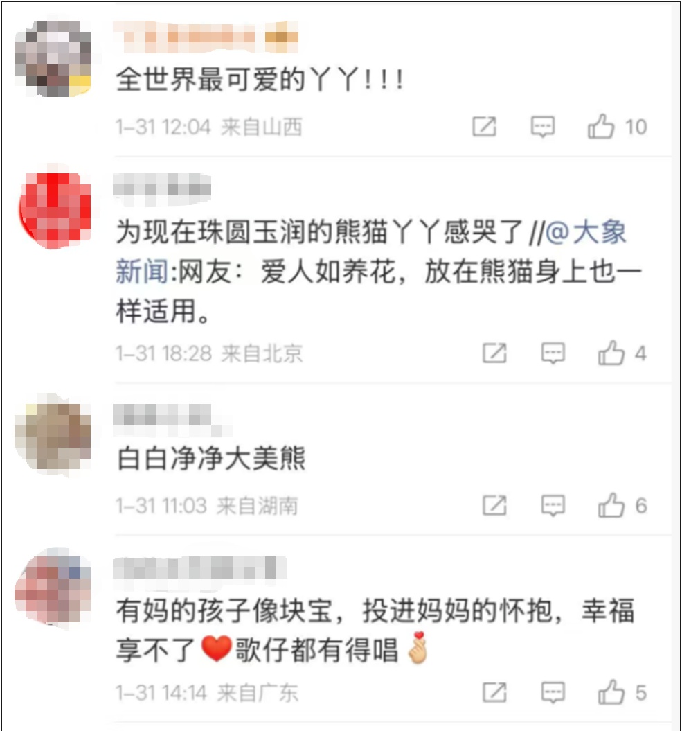 “丫丫”,变了大样!网友:这才是国宝该有的样子! “丫丫”,变了大样!网友:这才是国宝该有的样子!