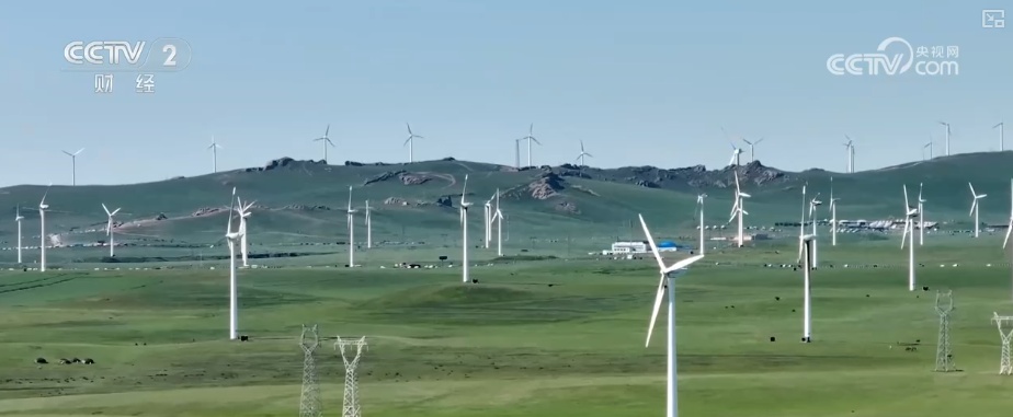 电网发展向质量提升转型 筑牢配网“毛细血管”激活数字赋能“神经中枢”