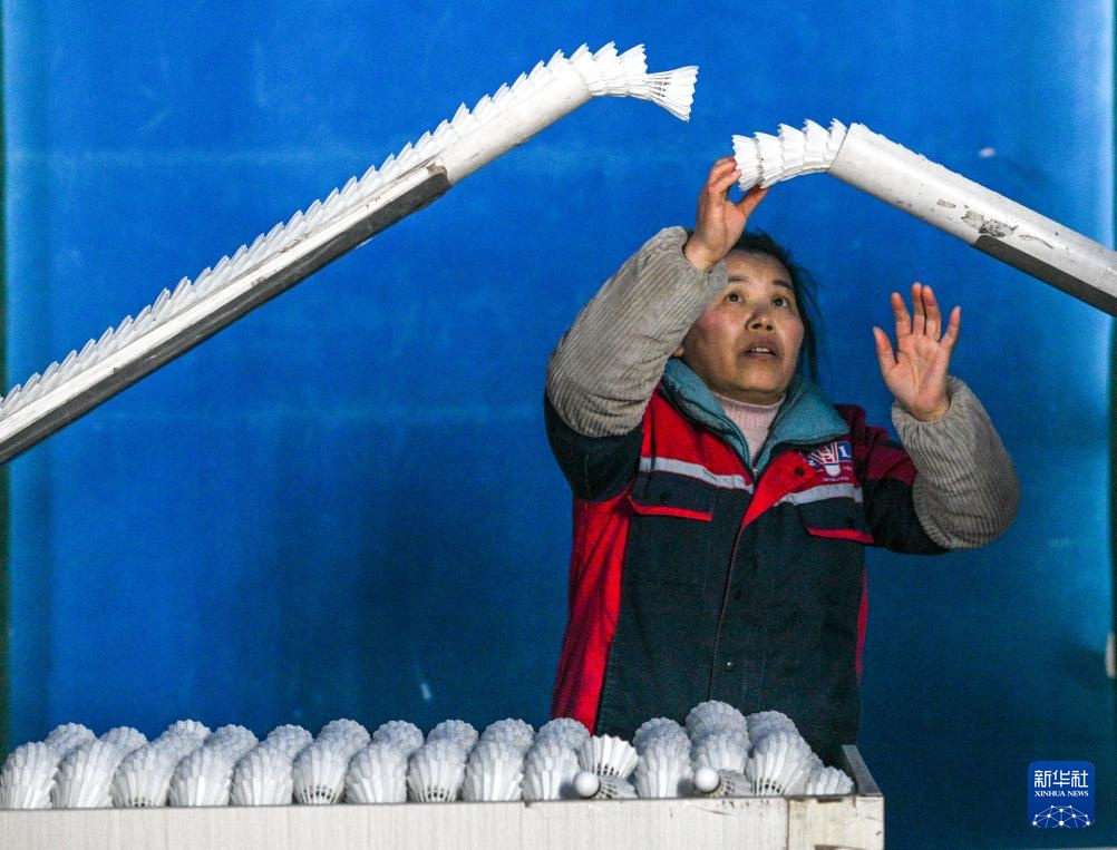 贵州锦屏:小小羽毛球成就县域大产业 贵州锦屏:小小羽毛球成就县域大产业