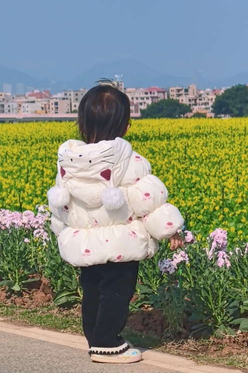 明日立春！厦门最高气温重返20℃+！新一股冷空气周末抵达→