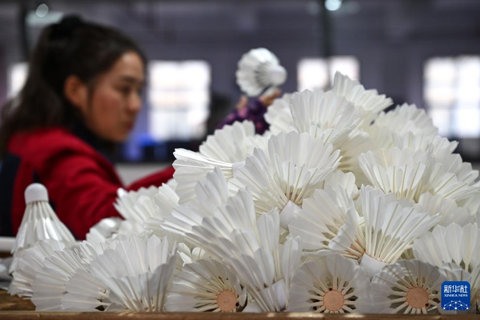 贵州锦屏:小小羽毛球成就县域大产业 贵州锦屏:小小羽毛球成就县域大产业