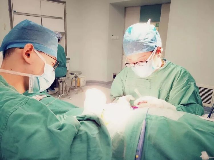 河南一男子被人咬后伤口感染差点截肢!医生提醒:如遇这些情况一定要打破伤风针 河南一男子被人咬后伤口感染差点截肢!医生提醒:如遇这些情况一定要打破伤风针