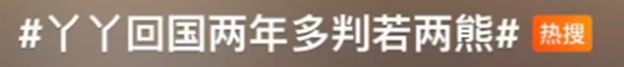 “丫丫”回国2年后已经美到认不出来了! “丫丫”回国2年后已经美到认不出来了!