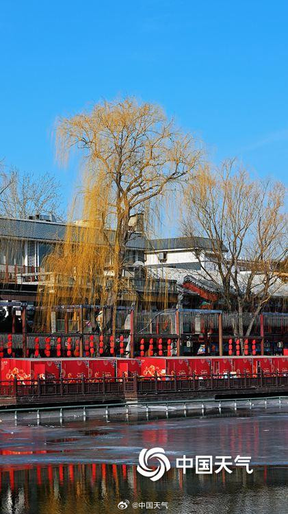 北京柳芽萌动迎立春 北京柳芽萌动迎立春