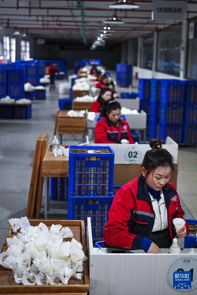 贵州锦屏:小小羽毛球成就县域大产业 贵州锦屏:小小羽毛球成就县域大产业