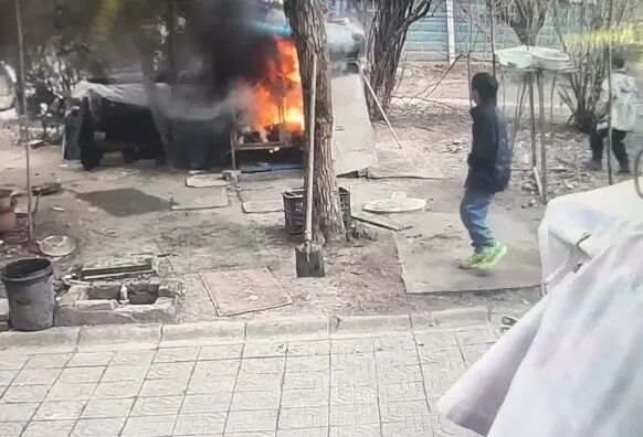 两小孩点燃狗笼后烧死萨摩耶，网友吵翻