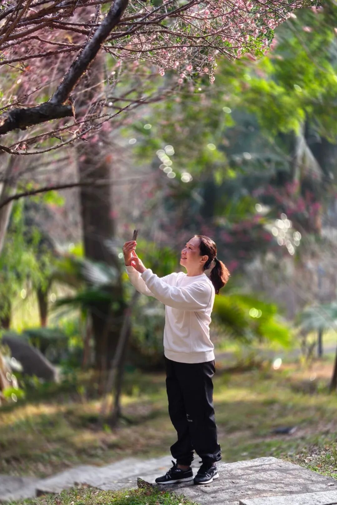 明日立春！厦门最高气温重返20℃+！新一股冷空气周末抵达→