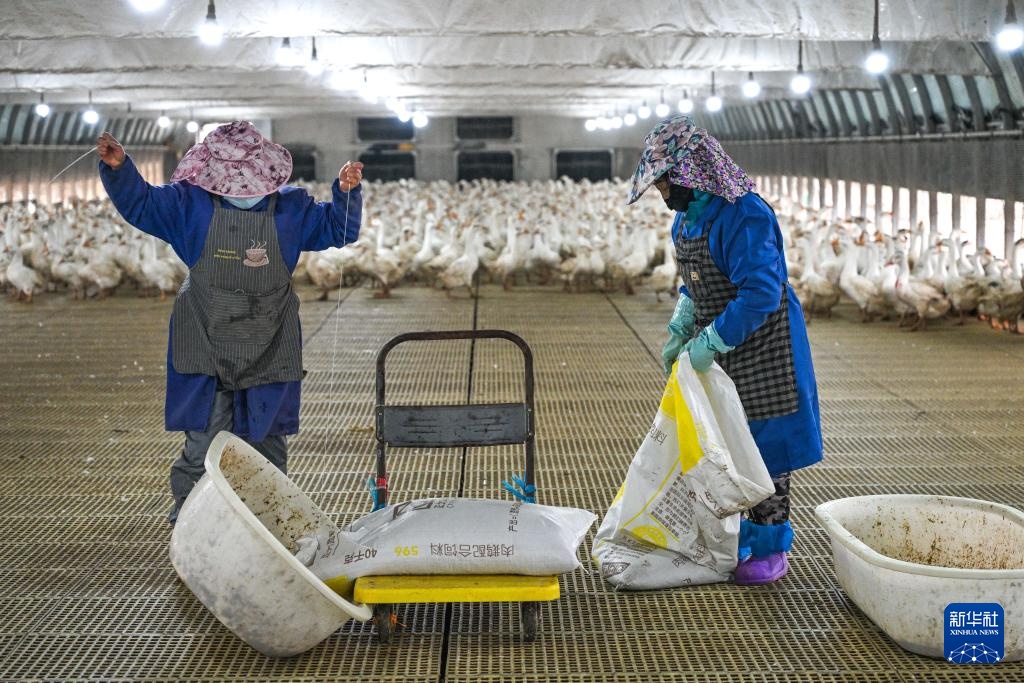 贵州锦屏:小小羽毛球成就县域大产业 贵州锦屏:小小羽毛球成就县域大产业