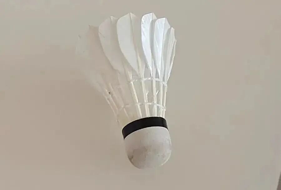 6万人验证的“长寿配方”，小改变延寿近10年