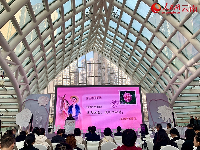 “娇龙”月季，启程赴新疆昭苏！