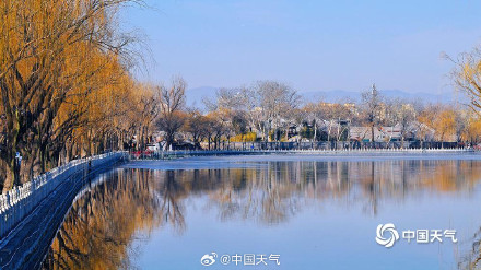 北京柳芽萌动迎立春 北京柳芽萌动迎立春