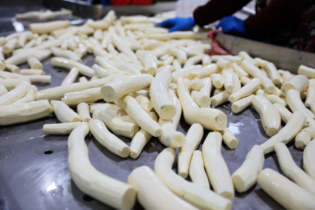 《甄嬛传》里害温宜公主吐奶的“毒物”,咋成了甜品界顶流? 《甄嬛传》里害温宜公主吐奶的“毒物”,咋成了甜品界顶流?