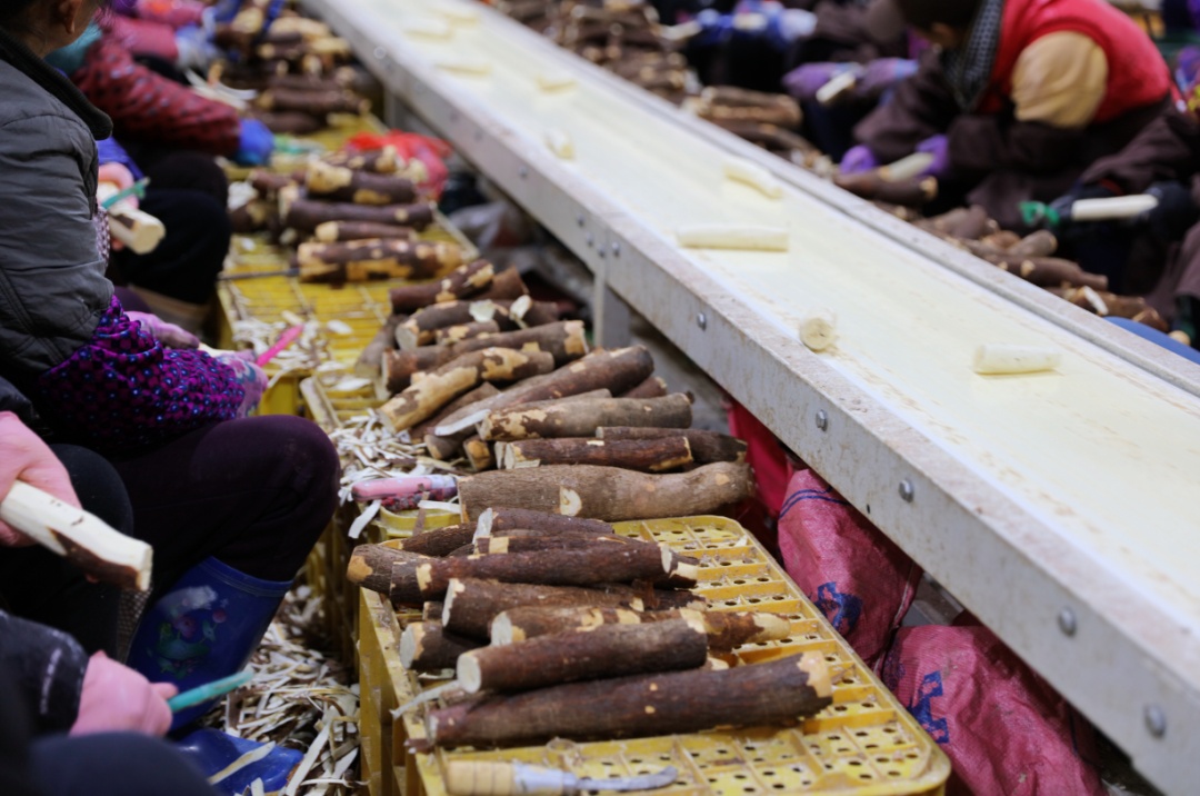 《甄嬛传》里害温宜公主吐奶的“毒物”,咋成了甜品界顶流? 《甄嬛传》里害温宜公主吐奶的“毒物”,咋成了甜品界顶流?