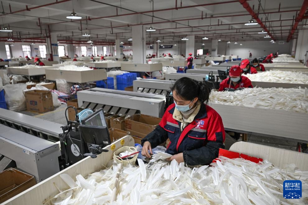 贵州锦屏:小小羽毛球成就县域大产业 贵州锦屏:小小羽毛球成就县域大产业