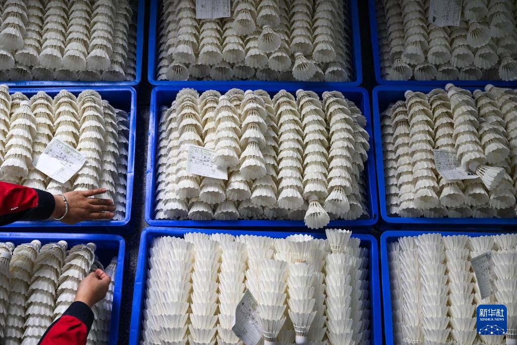 贵州锦屏:小小羽毛球成就县域大产业 贵州锦屏:小小羽毛球成就县域大产业