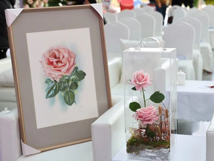 奔赴新疆！“娇龙”，回家了……