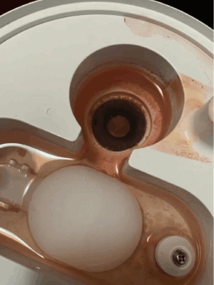 为什么马桶里总是有一圈红色?还真不是水锈 为什么马桶里总是有一圈红色?还真不是水锈