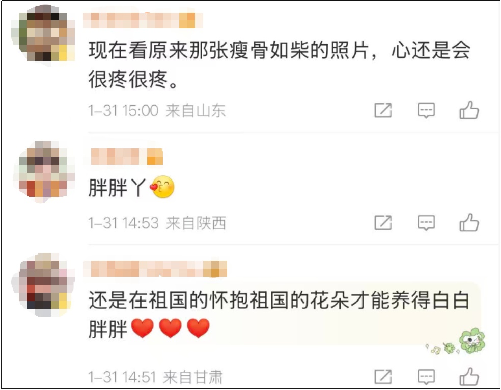 “丫丫”,变了大样!网友:这才是国宝该有的样子! “丫丫”,变了大样!网友:这才是国宝该有的样子!