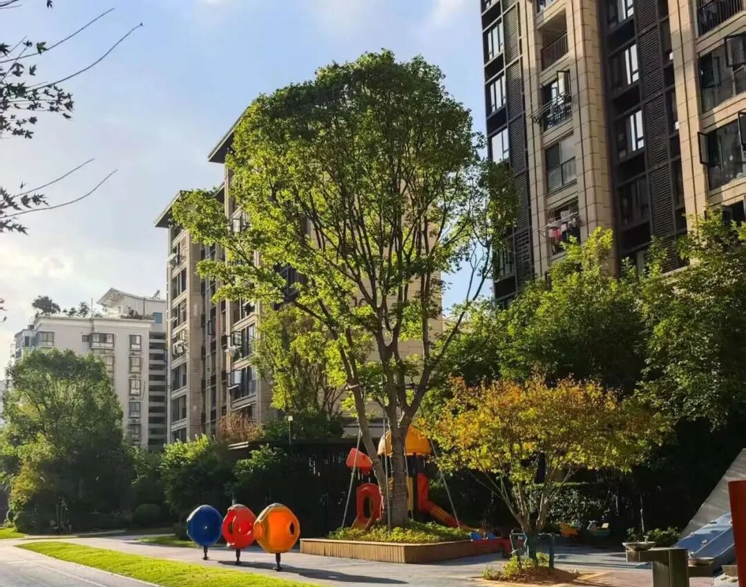 过山车!福州直冲25℃!新一波冷空气又要来了 过山车!福州直冲25℃!新一波冷空气又要来了