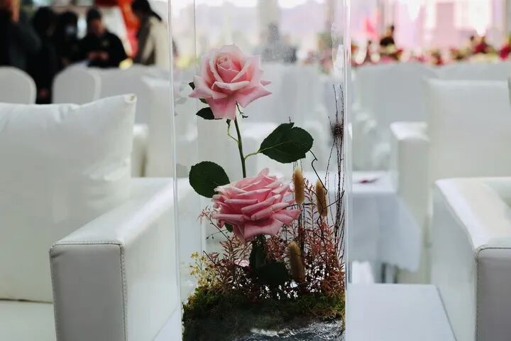 奔赴新疆！“娇龙”，回家了……