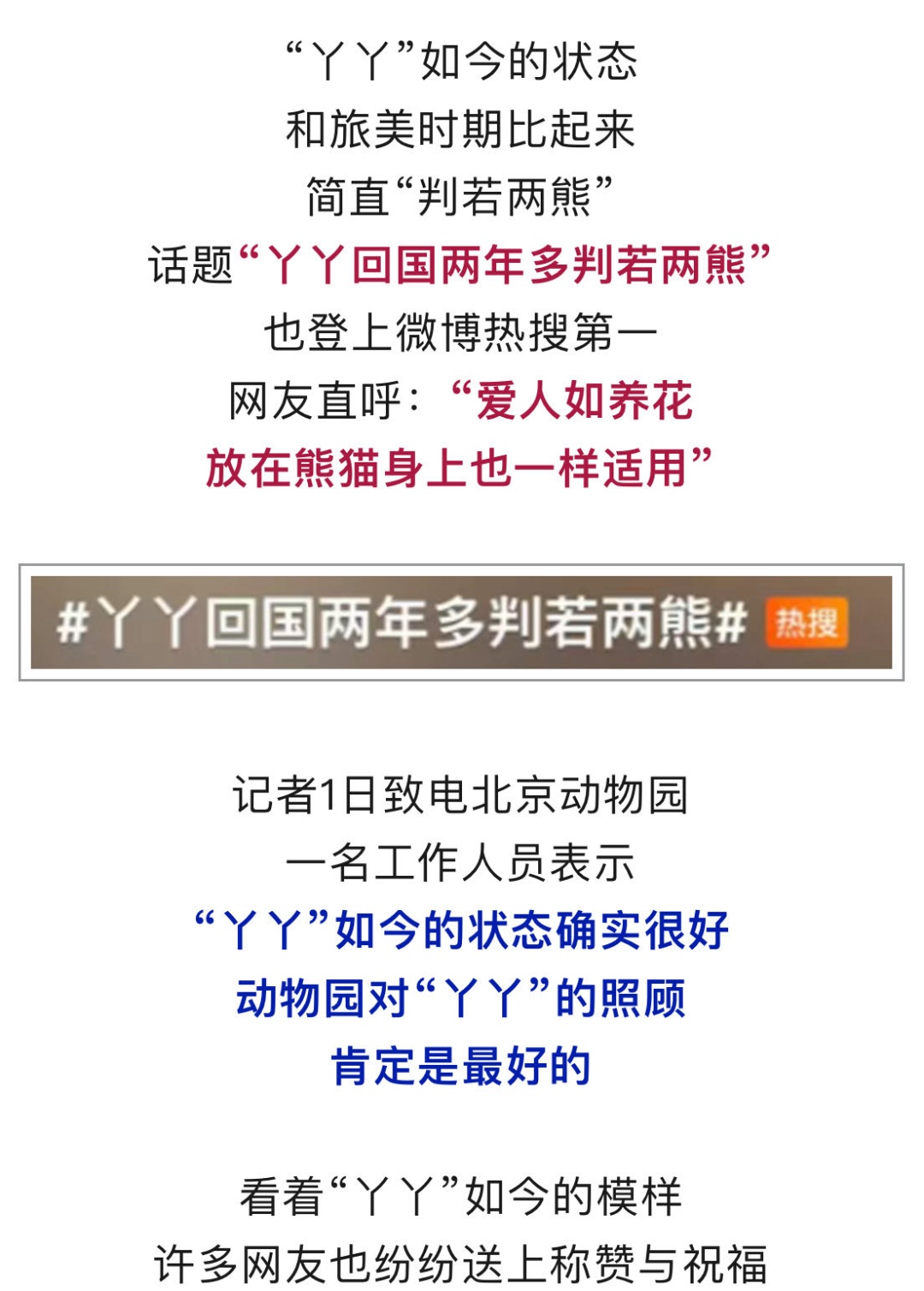 “丫丫”,变了大样!网友:这才是国宝该有的样子! “丫丫”,变了大样!网友:这才是国宝该有的样子!