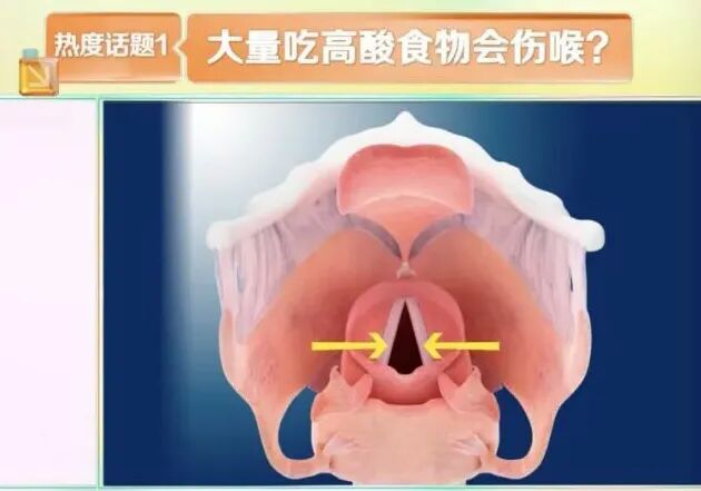 1个西红柿,帮助预防6种癌!但这2种不能吃→ 1个西红柿,帮助预防6种癌!但这2种不能吃→