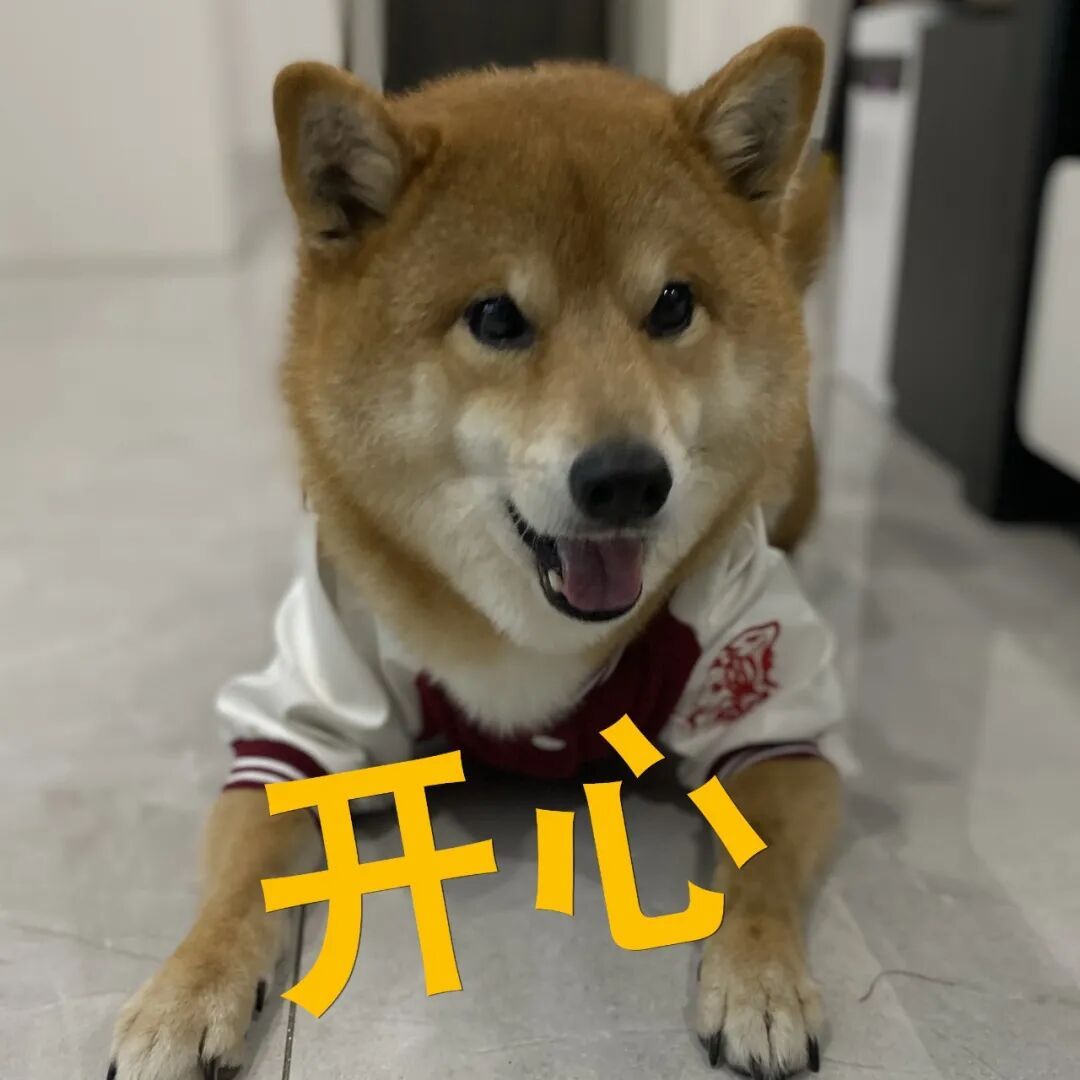 明日立春！厦门最高气温重返20℃+！新一股冷空气周末抵达→