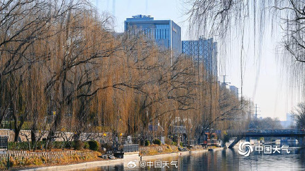 北京柳芽萌动迎立春 北京柳芽萌动迎立春