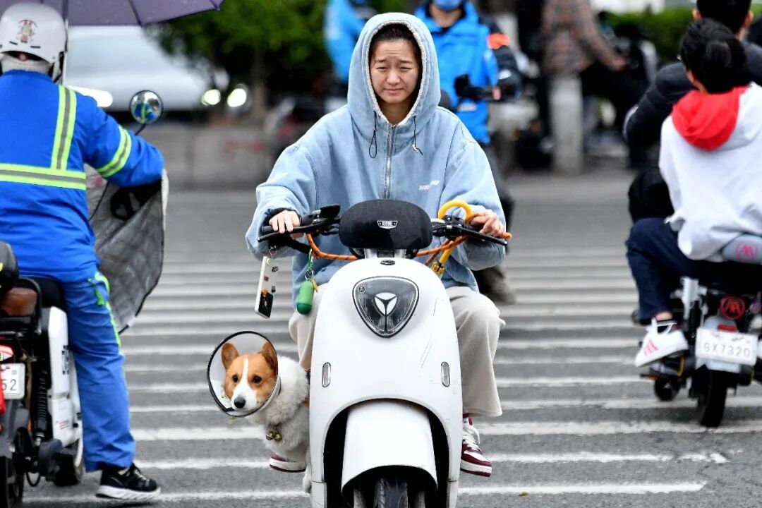 广州，即将降温！春运期间将有5轮冷空气