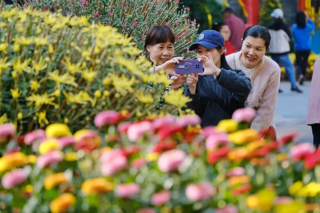 春天提前“签到”！广东暖阳持续，广州气温冲刺22℃