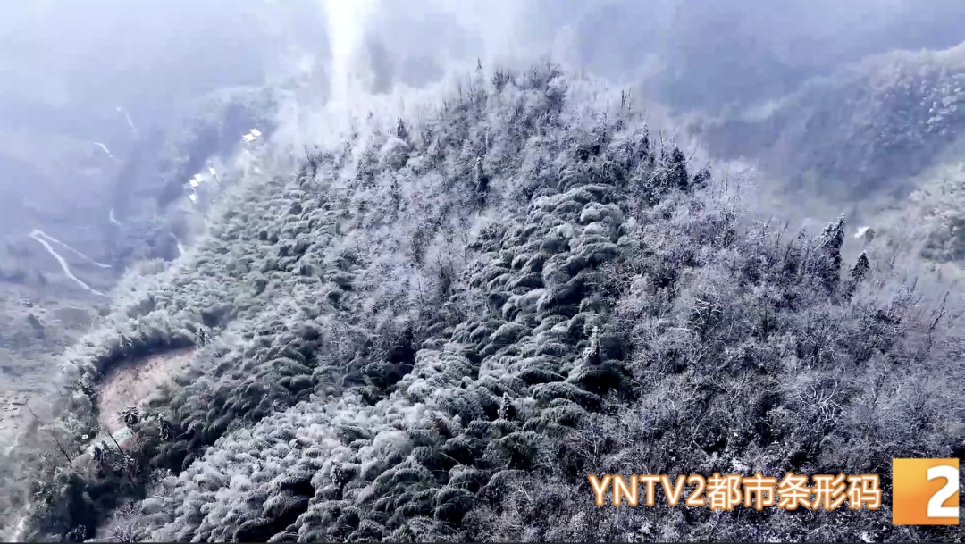 今日立春，天气要变暖？不！云南局地将断崖式降温超10°C