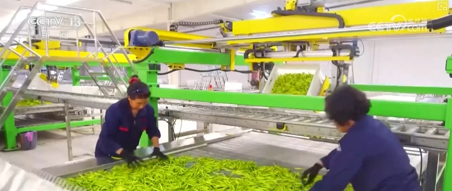 一揽子增收措施、一套政策“组合拳” 创造条件多渠道增加农民财产性收入 一揽子增收措施、一套政策“组合拳” 创造条件多渠道增加农民财产性收入